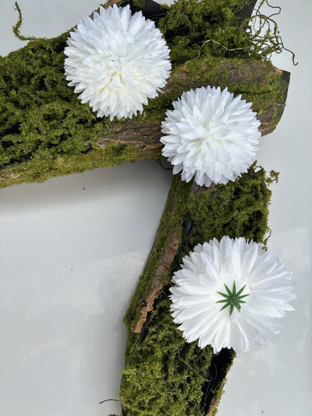 Хризантема біла - Зображення 2