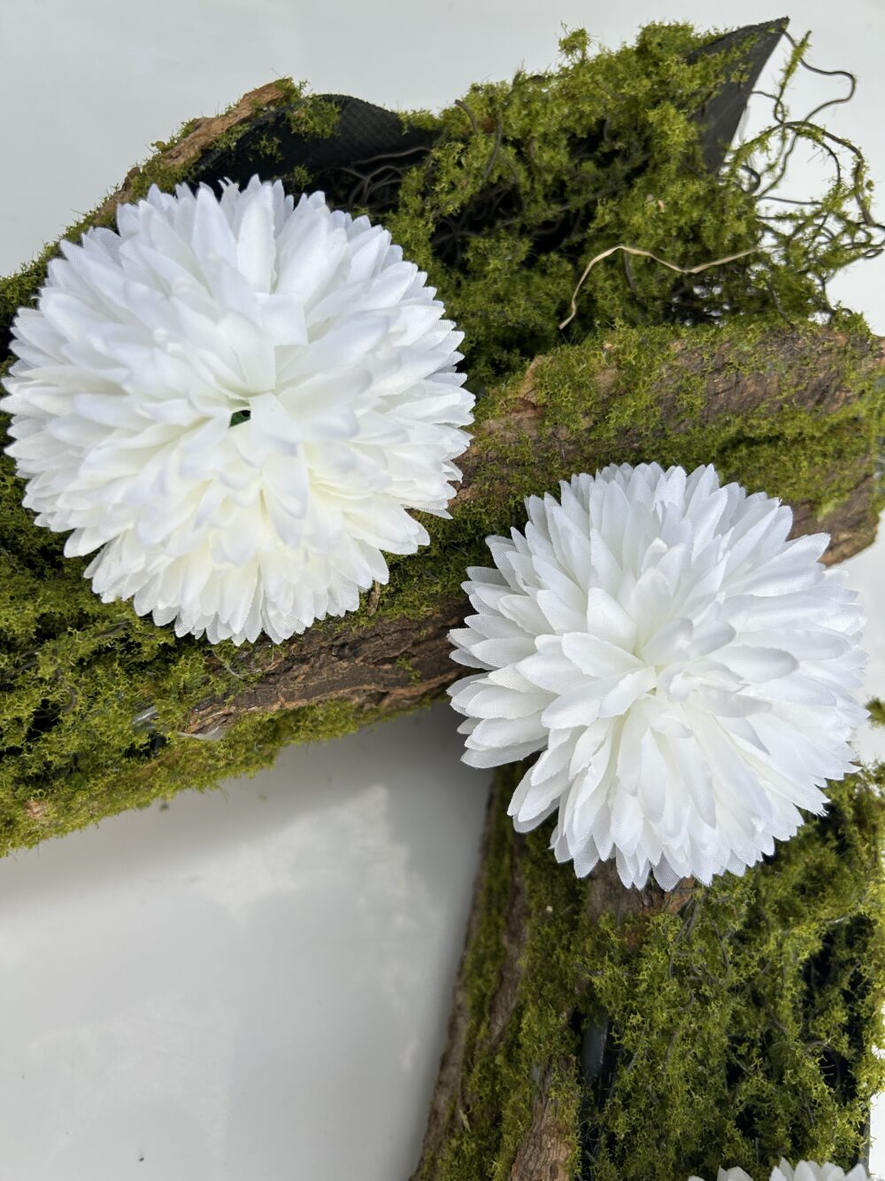 Хризантема біла