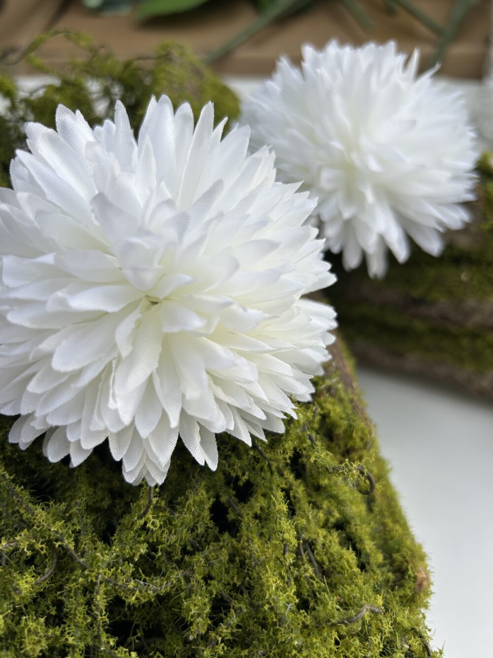 Хризантема біла - Зображення 3