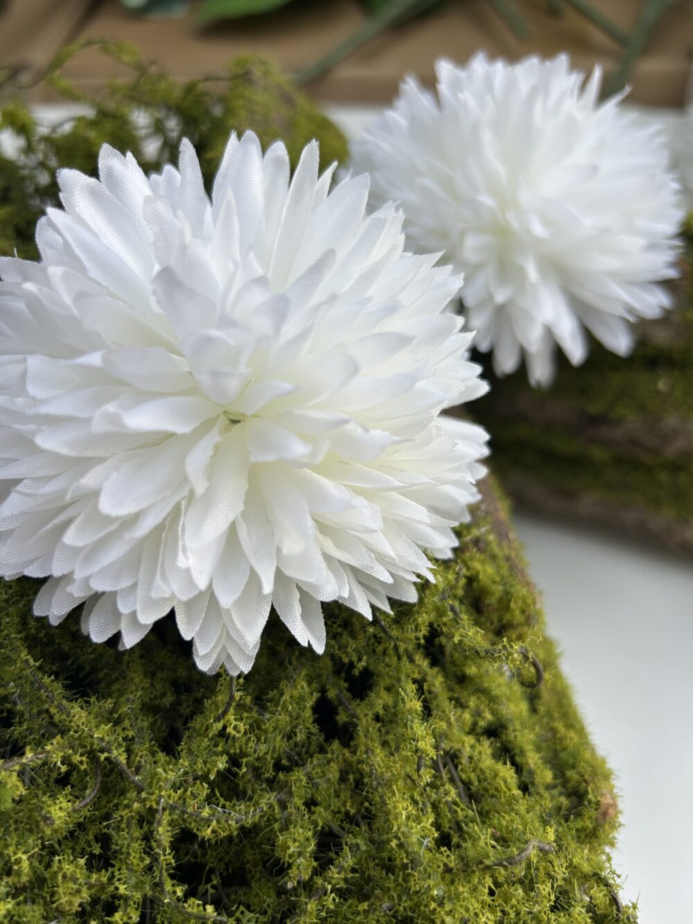 Хризантема біла - Зображення 4