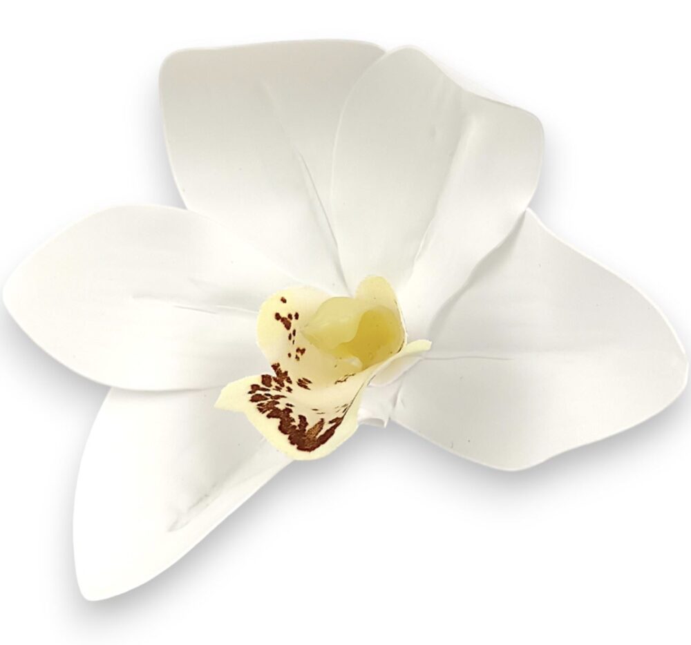 Цимбидіум білосніжний