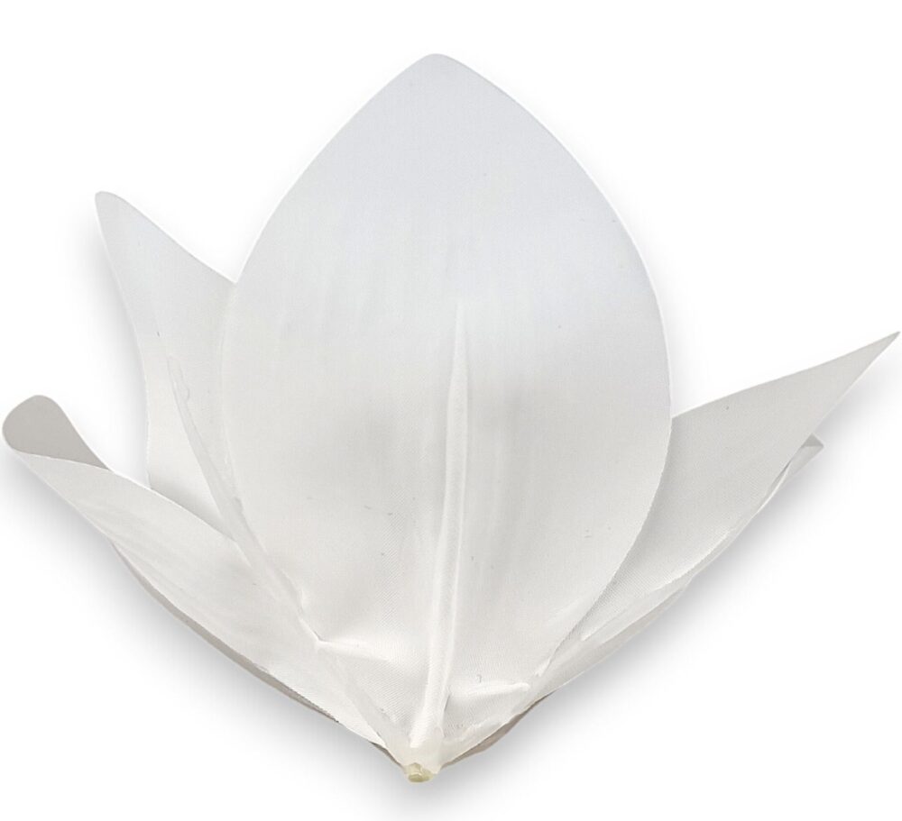 Цимбидіум білосніжний - Зображення 2