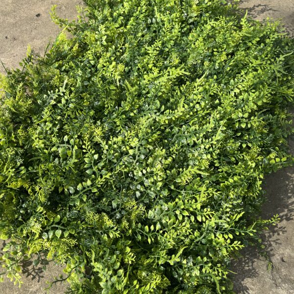 Коврик самшиту