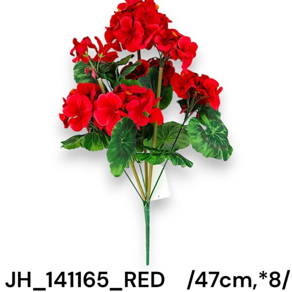 Пеларгонія червона