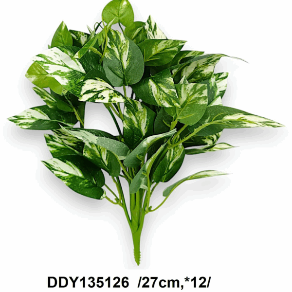 Букет фікуса