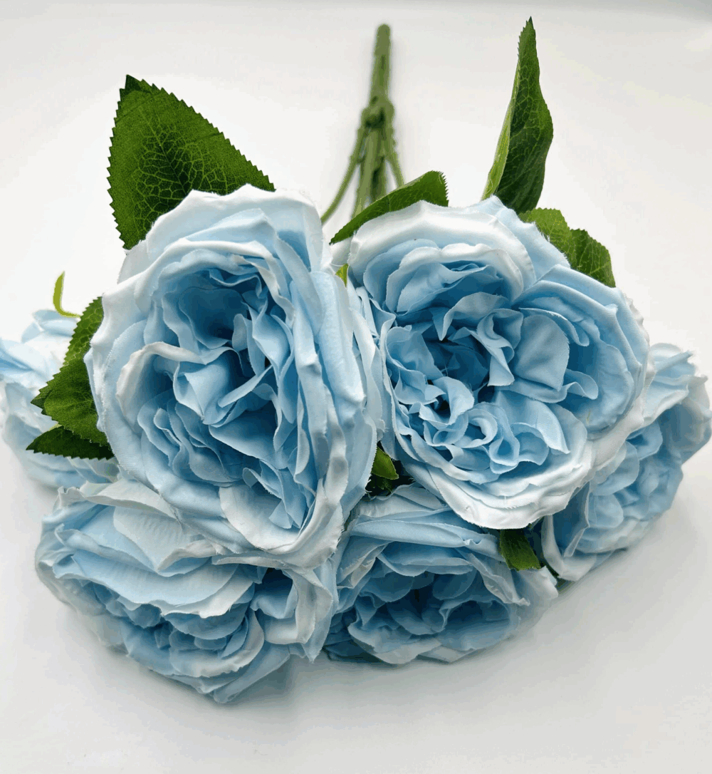 Троянда Девід Остін