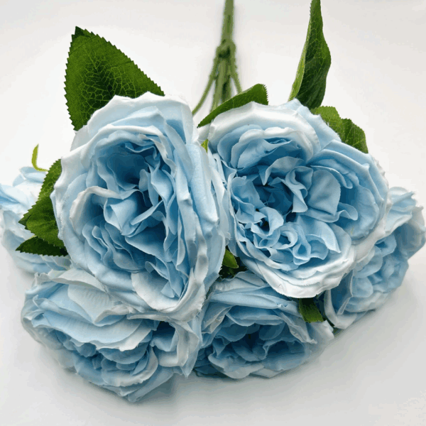 Троянда Девід Остін