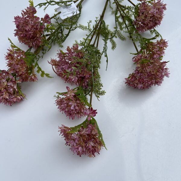 Квітучий часник