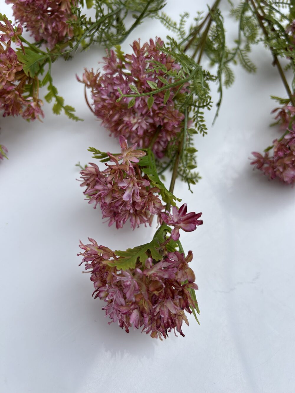 Квітучий часник - Зображення 2