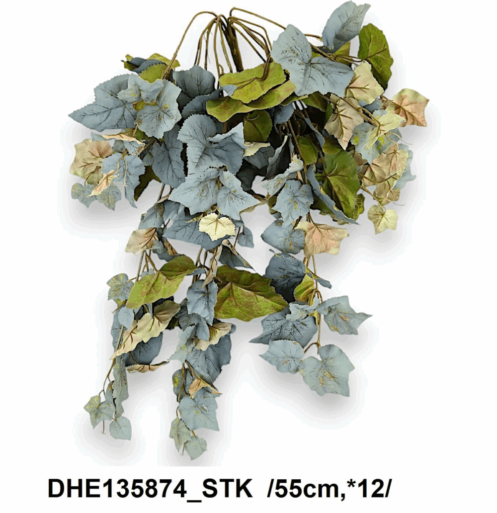 Дуб,ліана дуб