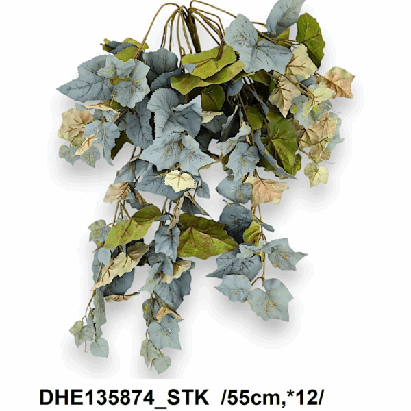 Дуб,ліана дуб