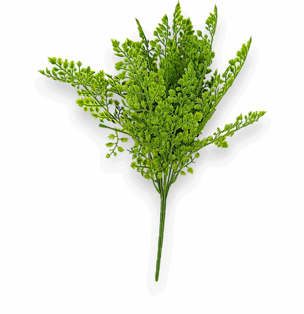 Папороть кущова