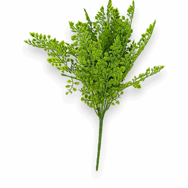 Папороть кущова