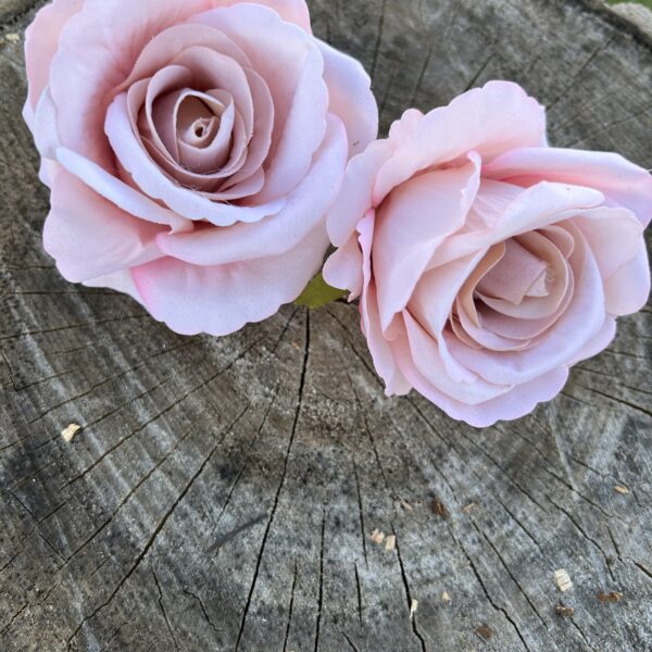 Троянда рожева пудра