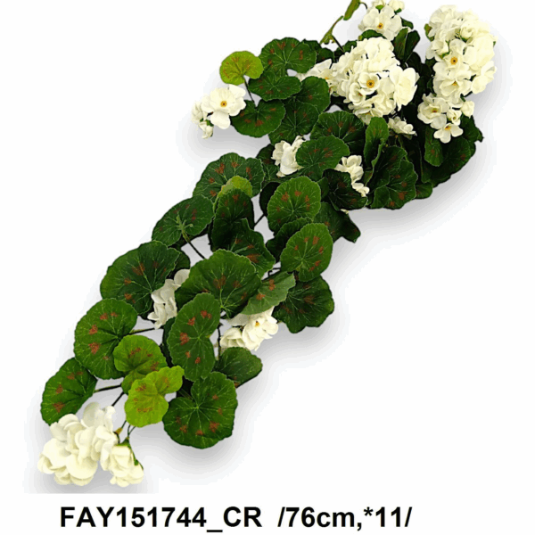 Пеларгонія біла