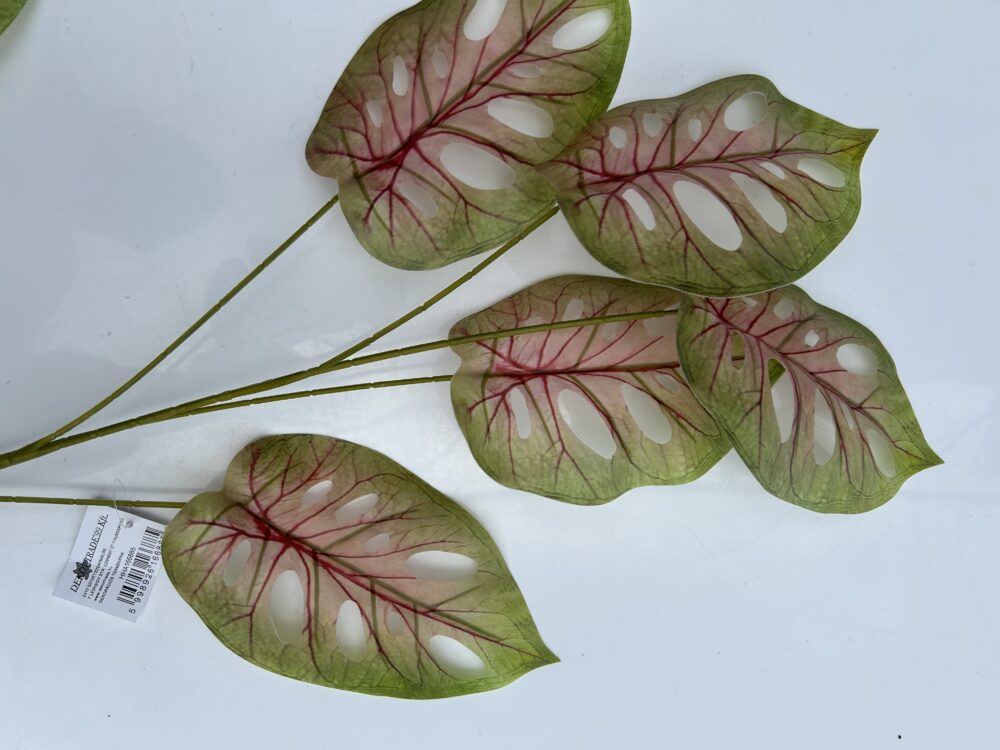 Лист Монстери «Jungle» - Зображення 2