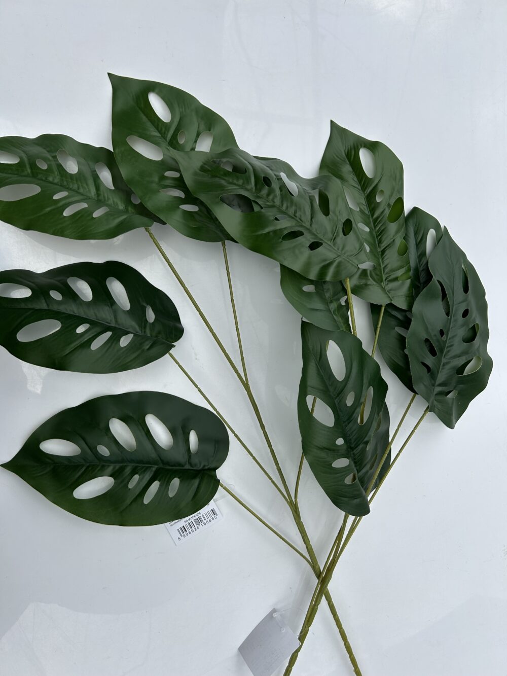 Лист Монстери «Jungle» - Зображення 2