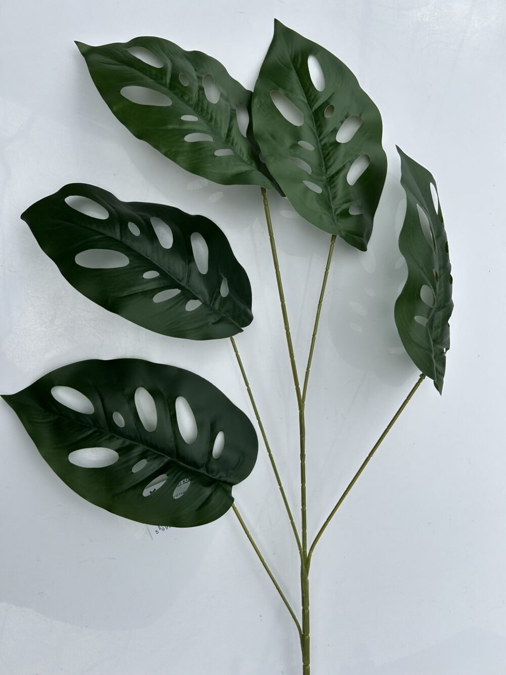 Лист Монстери «Jungle»