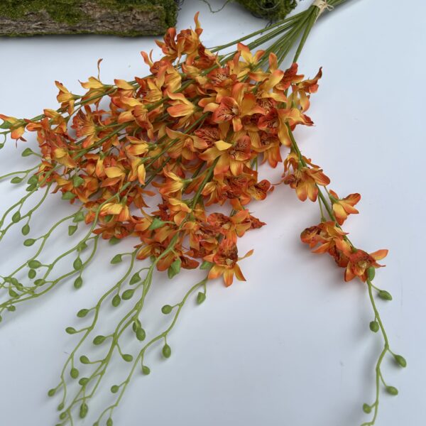 Орхідея Тайська