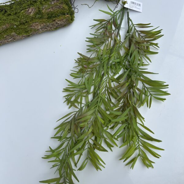 Рускус гелевий