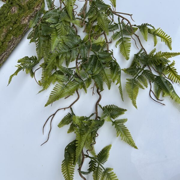 Папорпоть з корінцями