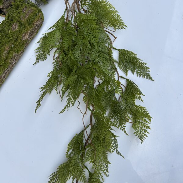 Папороть королівська