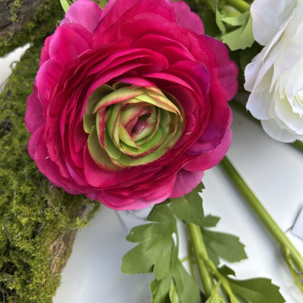 Ранункулюс