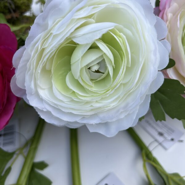 Ронункулюс