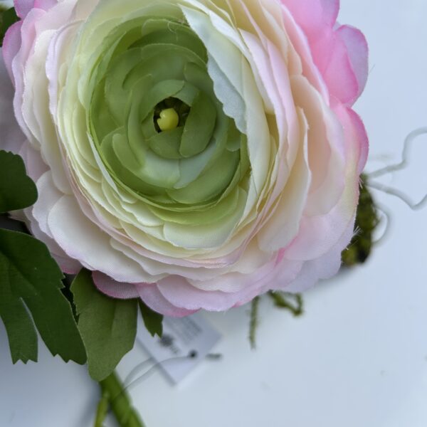 Ранункулюс