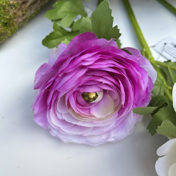 Ранункулюс