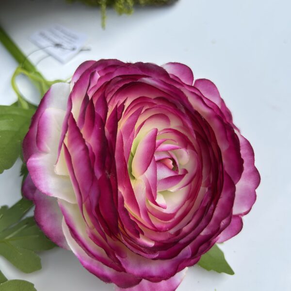 Ранункулюс