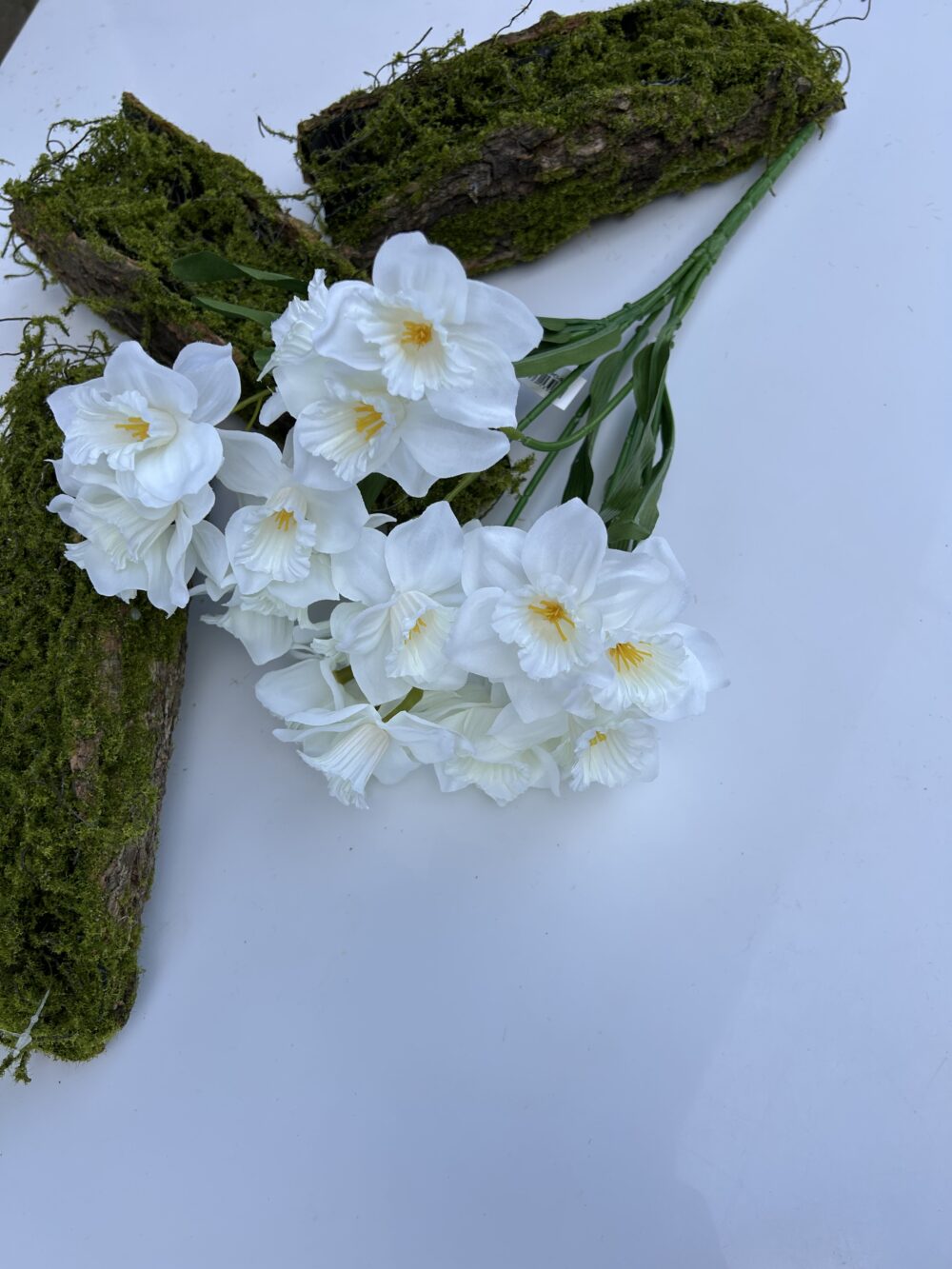 Нарцис білий