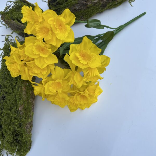 Нарцис жовтий