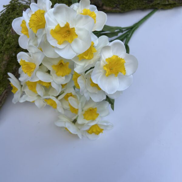 Нарцис жовто-білий