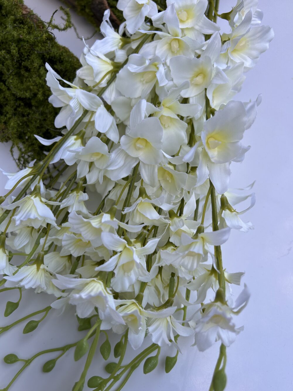 Орхідея Тайська - Зображення 2