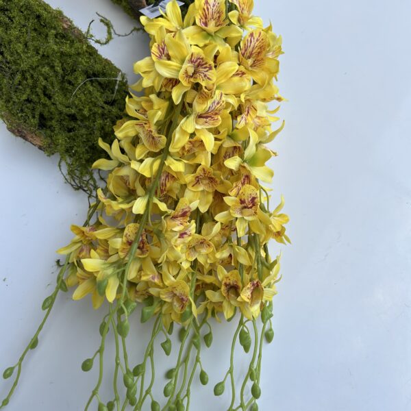 Орхідея Тайська