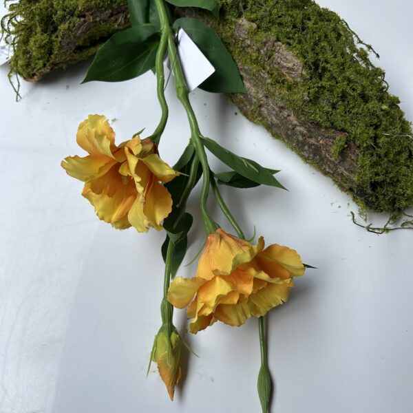 Еустома жовта