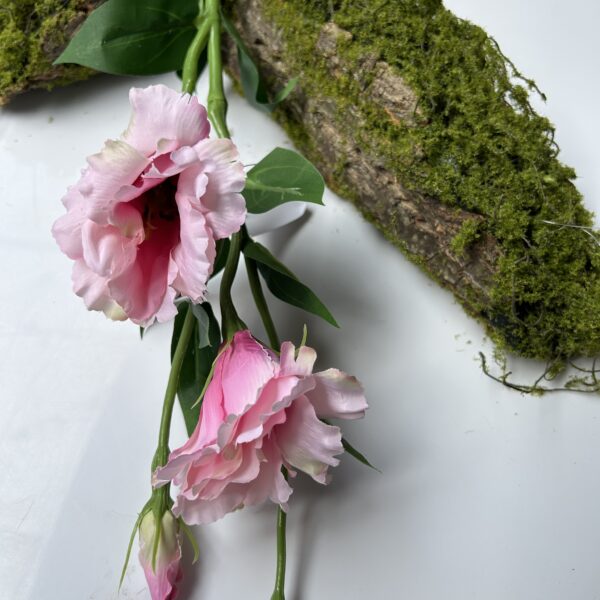 Еустома рожева