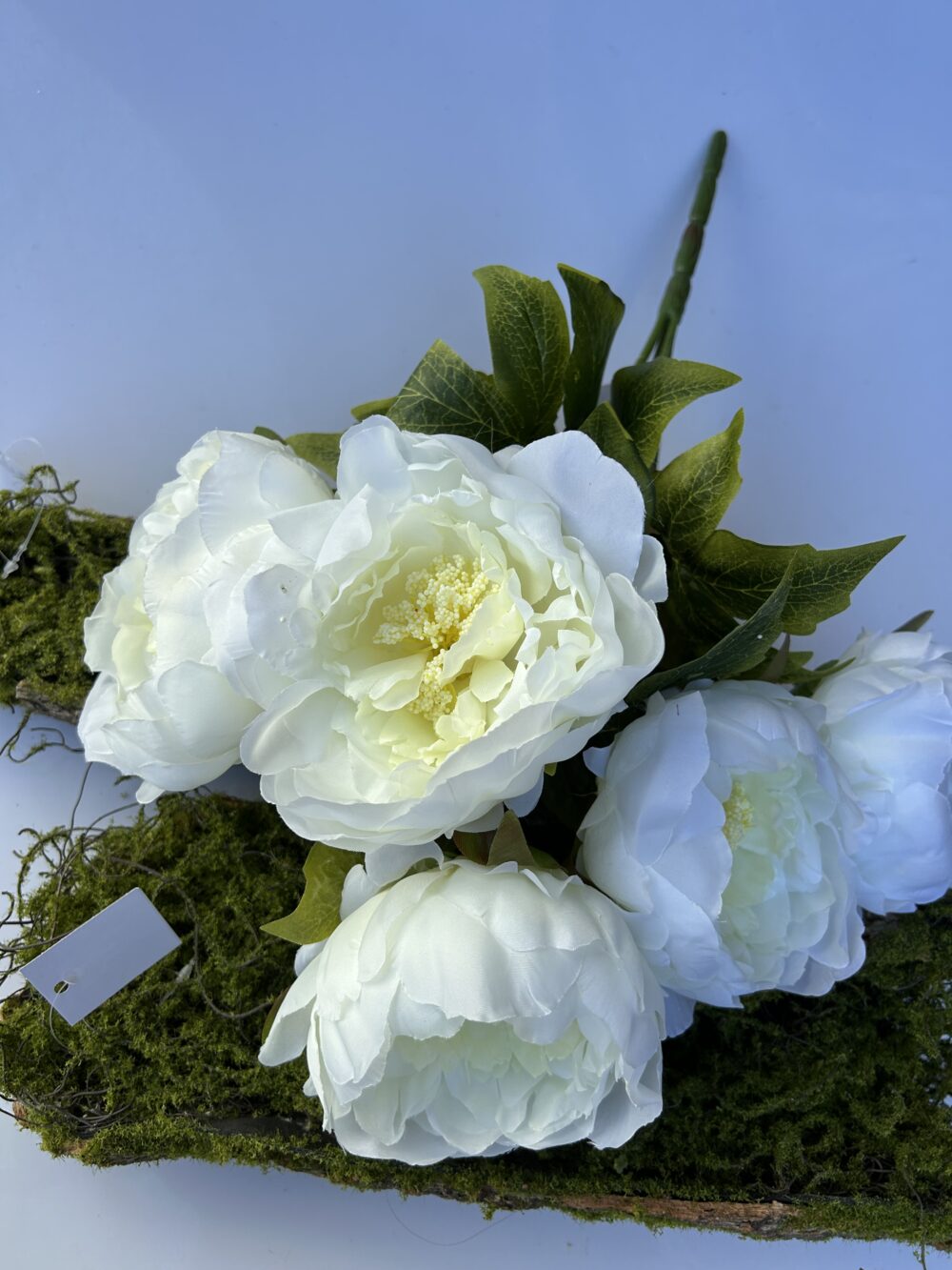 Півонії - Зображення 2