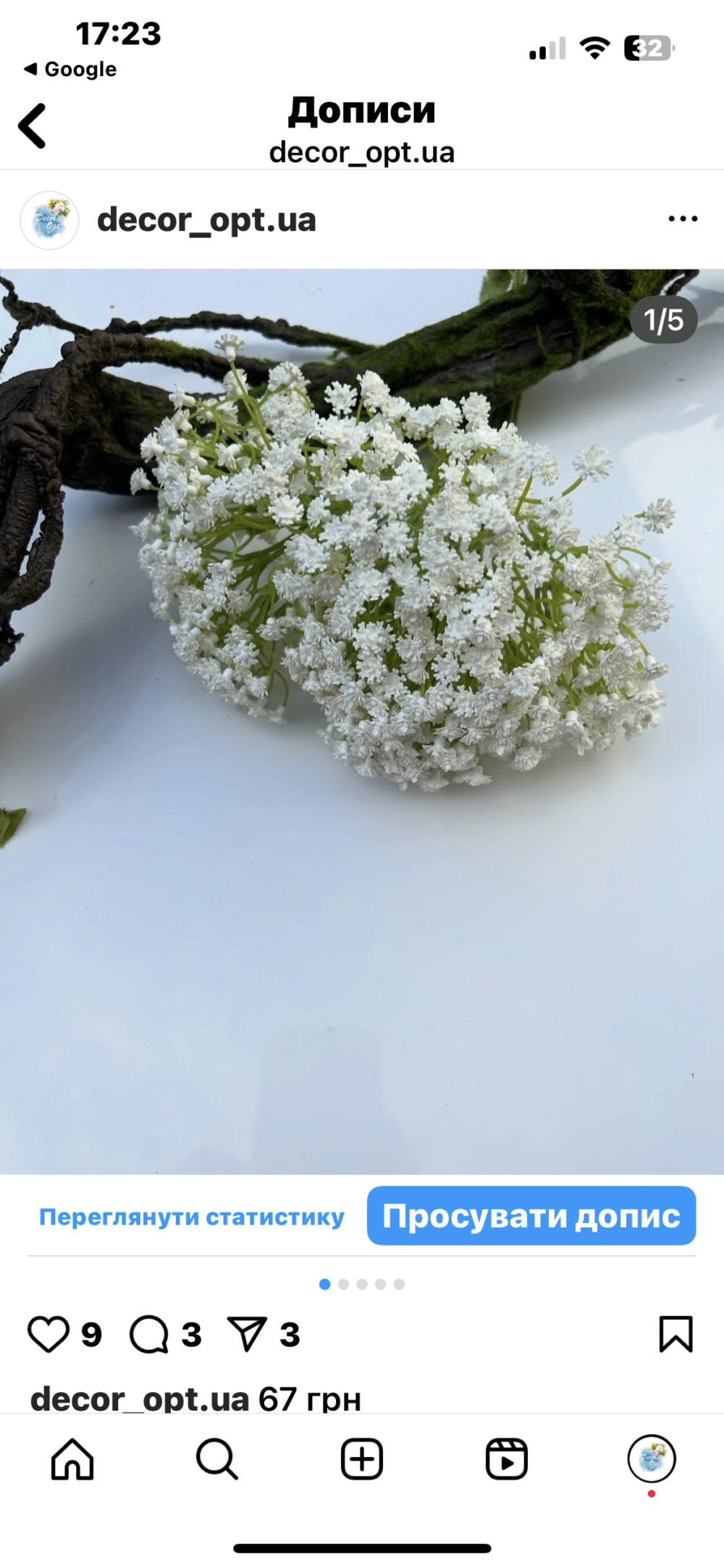 Гіпсофіла - Зображення 3