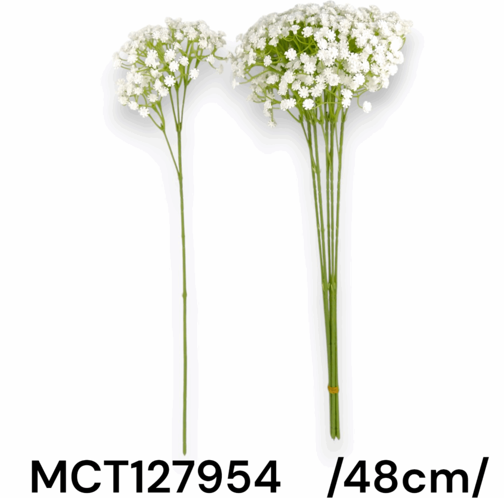 Гіпсофіла - Зображення 2