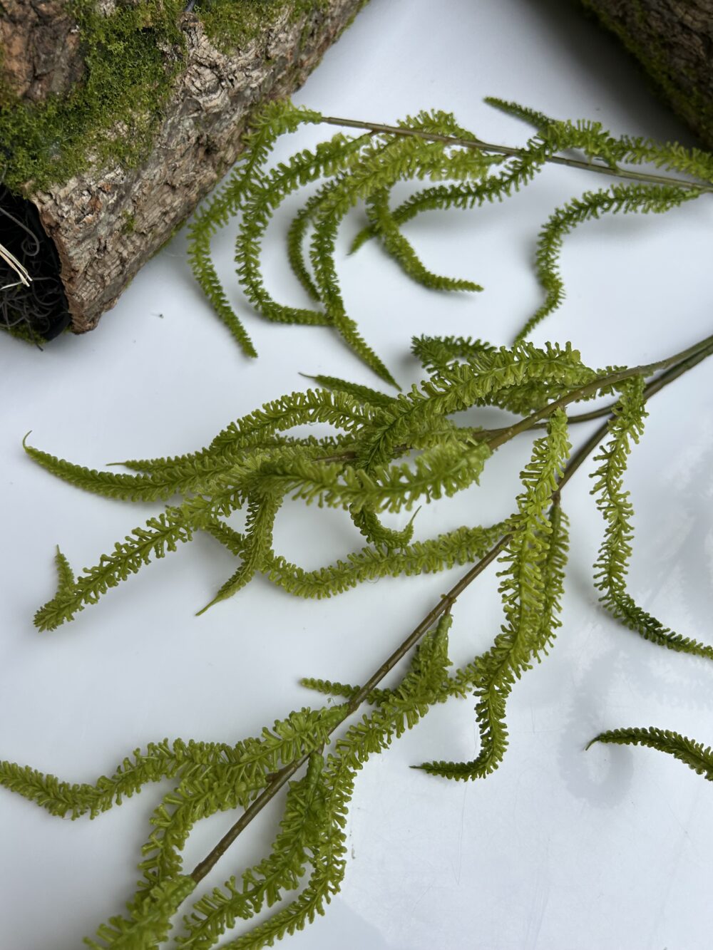 Амарант - Зображення 3