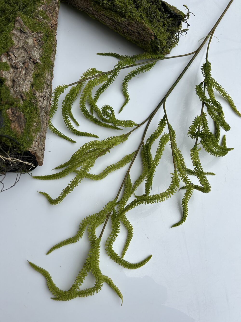 Амарант - Зображення 2