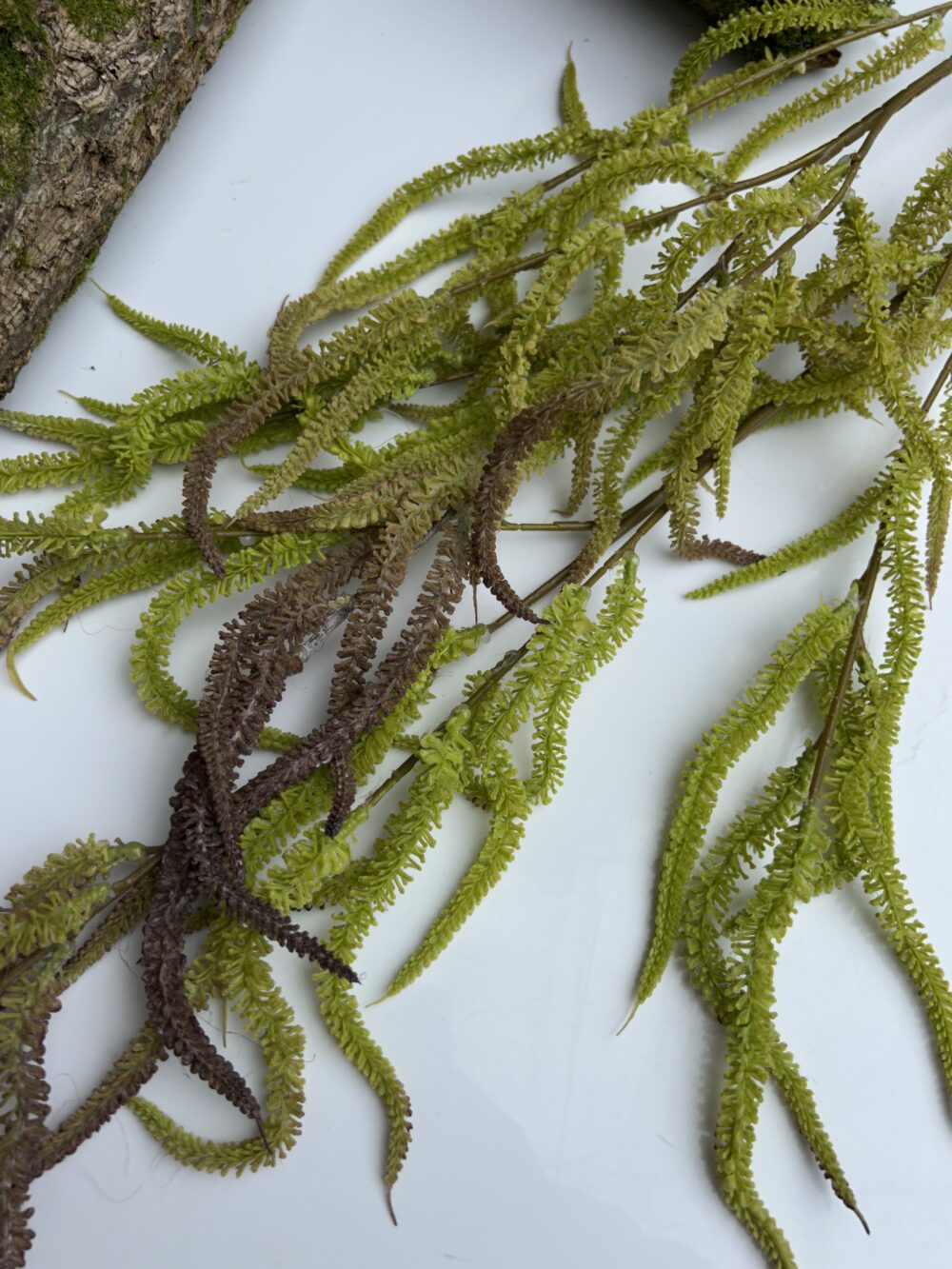 Амарант - Зображення 2