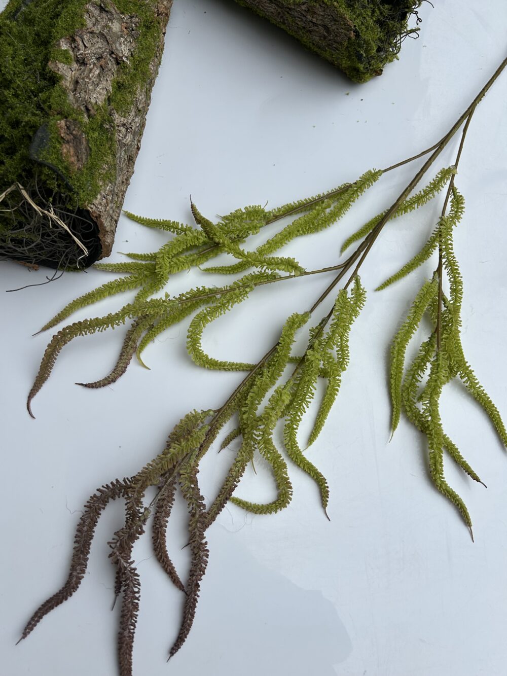 Амарант - Зображення 3