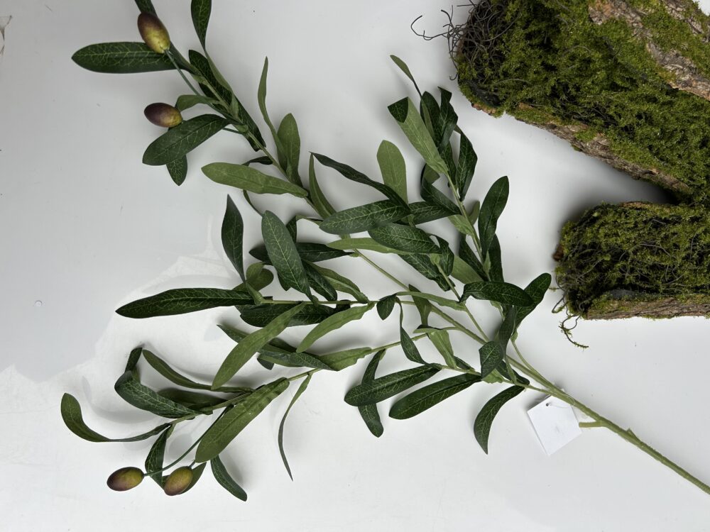 Оливкова гілка