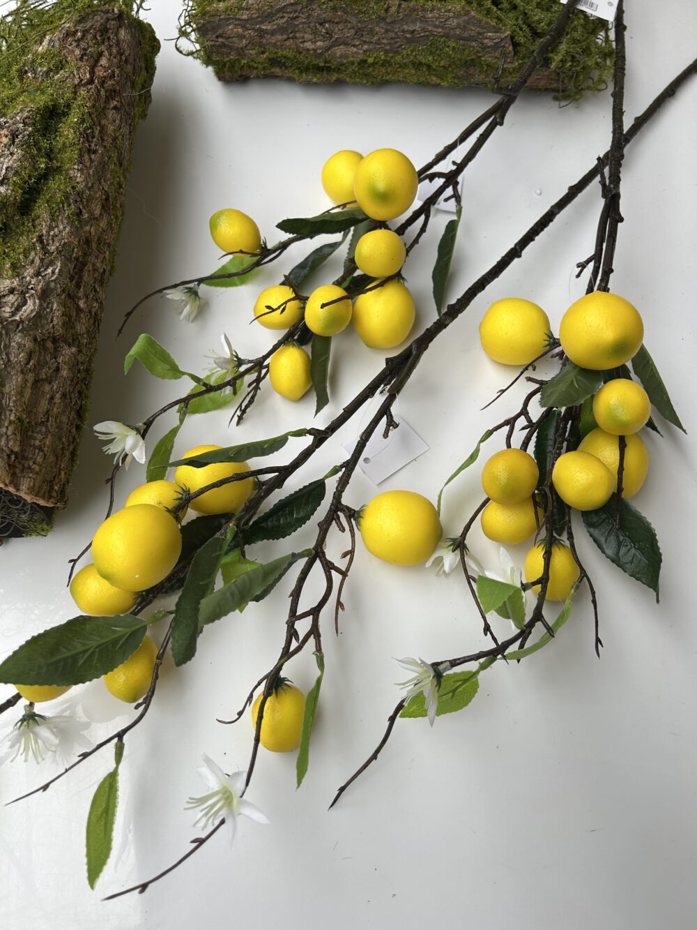 Лимон,лимонна гілка