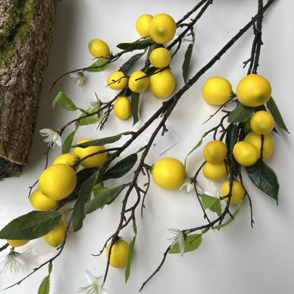 Лимон,лимонна гілка