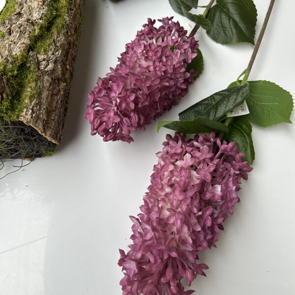 Бузок гелевий