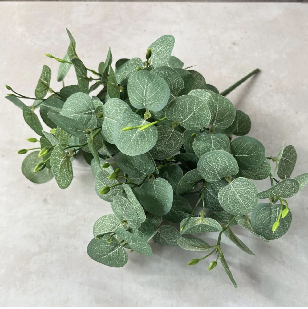 Евкаліпт кущовий